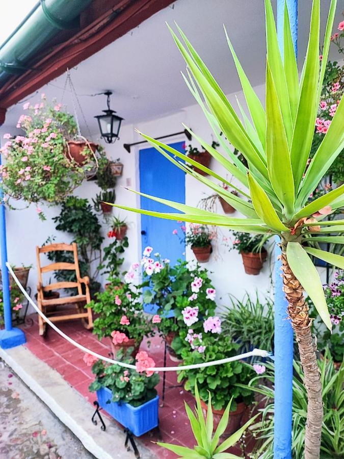Apartamento Alcazar San Basilio Córdoba Exteriér fotografie
